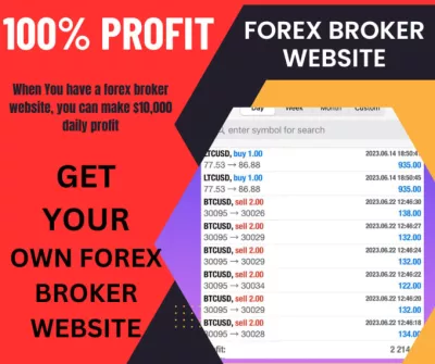 develope for you a forex broker or forex trading website of your own