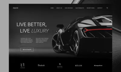 I will create luxury and premium website